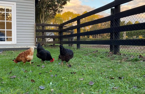 Tyabb Cabaña | Cosy FarmStay@Harmony Cottage on Melbournes' Famous Mornington Peninsula
