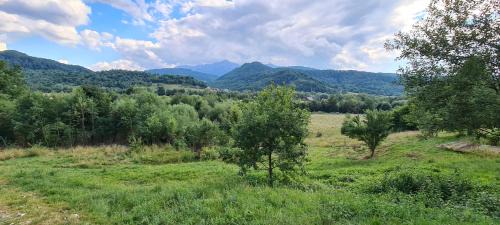 Rasnov Chalet De Esquí | Cosy Forest Chalet