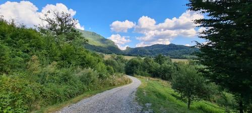 Rasnov Chalet De Esquí | Cosy Forest Chalet