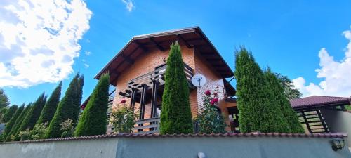 Rasnov Chalet De Esquí | Cosy Forest Chalet