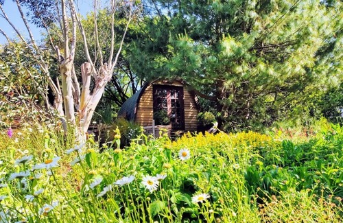 Saltash Cabina | 'Juniper' The Cozy Pod en The Greenhouse Spa Retreat - Glamping Cornwall