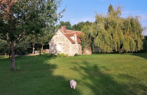 Saint-Germain-des-Grois Cama Y Desayuno | Cosy guest house - relaxation, games and conviviality