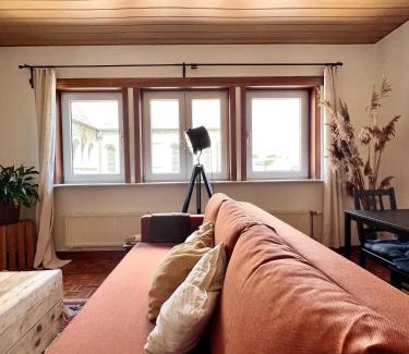 Paperode Apartamento | Cosy haven in Aalst with terrace a green haven