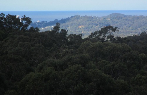 Bonogin Cabaña | Cosy hinterland cottage with ocean and forest views