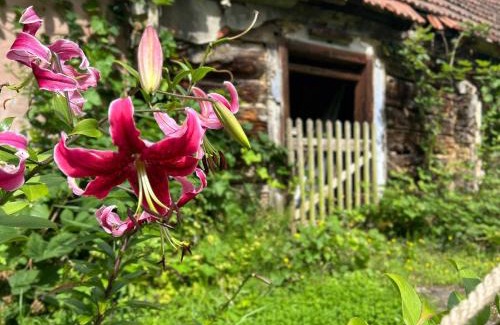 Lehde Casa | Cosy Lehde