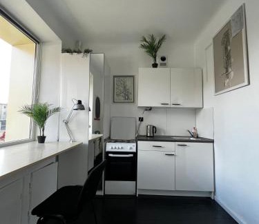 Siauliai City Center Apartamento | Cosy little studio