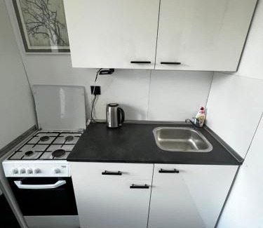 Siauliai City Center Apartamento | Cosy little studio