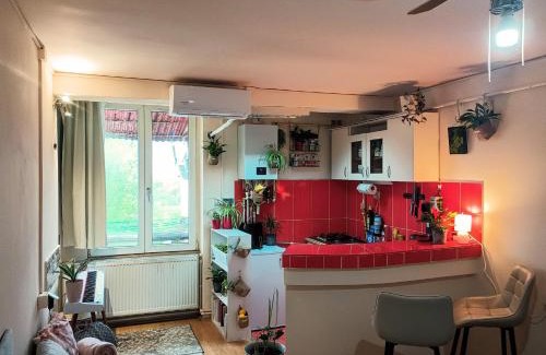 Satu Mare Apartamento | Cosy Nest on Floor 4 of 4