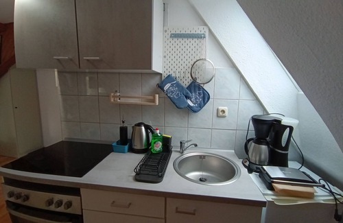 Biebrich Apartamento | Cosy old Studio at Schlosspark