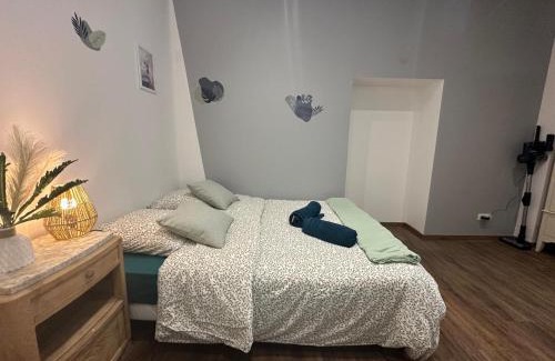 Centre Ville Apartamento | Cosy Pétunia - T2 - Centre ville