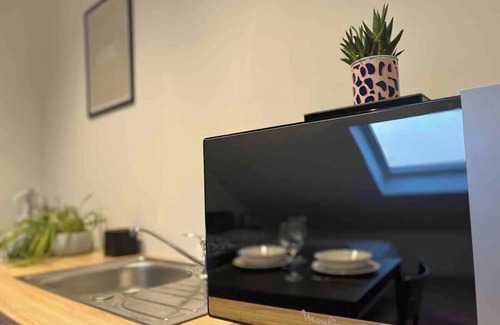 Strasbourg Apartamento | Cosy Rent Strasbourg TV. Wifi Studio Gare 4