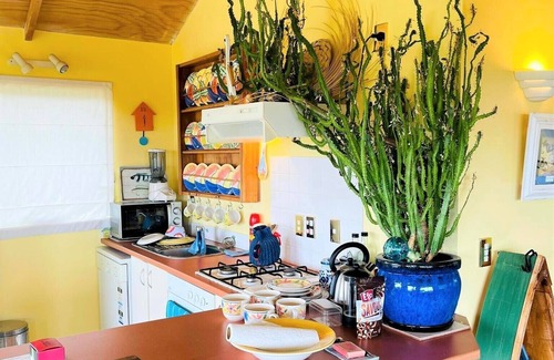 Te Akau Apartamento | Cosy retreat overlooking the dune sanctuary