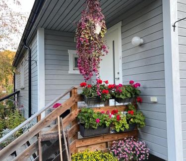 Royken Cama Y Desayuno | Cosy rooms & garden