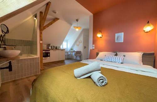 Sarreguemines Apartamento | Cosy sous les toits - Charme et modernité