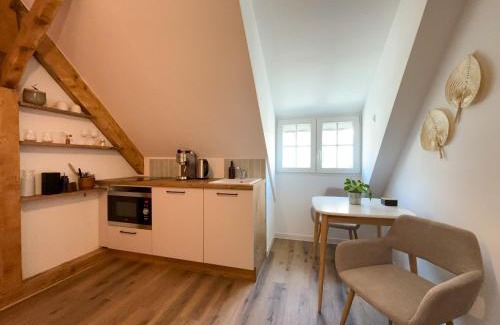Sarreguemines Apartamento | Cosy sous les toits - Charme et modernité
