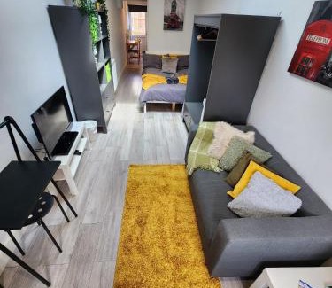 Brent Apartamento | Cosy Studio Wembley Stadium Gem
