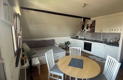 Arzier Apartamento | Cosy studio with views of Lake Geneva and Mont Blanc