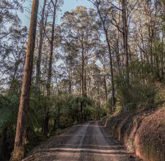 Healesville Casa | Cottage at Tall Trees