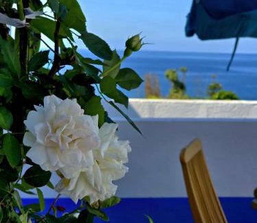 Vila Franca do Campo Apartamento | Cottage Cantinho da Quinta
