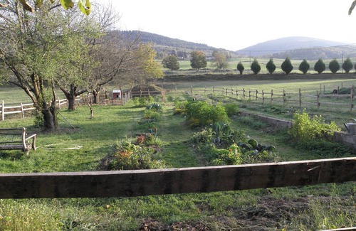 Camarade Casa | Cabaña para 2 a 3 personas rodeada de naturaleza