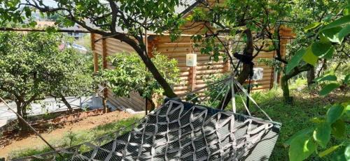Khelvachauri Villa | Cottage house Niniela