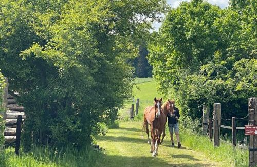 Fischbach Casa | Cottage House Weyer - Mare&Filly Room