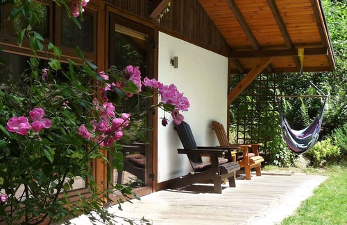 Krokowa Casa | Cottage in a Birch Forest - In quiet greenery