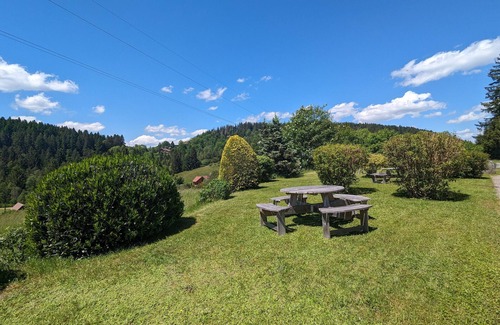 Gerardmer Cabaña | Casa rural en Gérardmer - Cerca del lago y pistas, Chimenea, 2 habitaciones