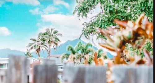 Coconut Grove Apartamento | Cottage in Kailua Town