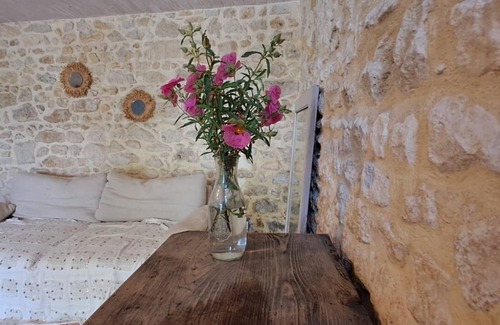 Lesparre-Medoc Cabaña | Cottage in the Médoc Near Shops