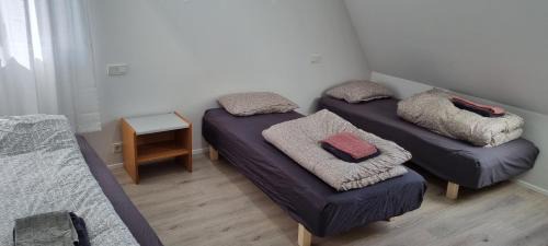 Sveitarfelagid Olfus Apartamento | Cottage in the middle of nowhere