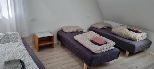 Sveitarfelagid Olfus Apartamento | Cottage in the middle of nowhere