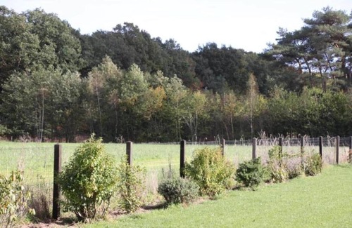 Langelo Chalet De Esquí | Cabaña en Veluwe cerca del parque