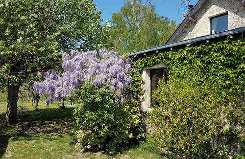 Les Rosiers-sur-Loire Casa | Cottage "Loire Lights"
