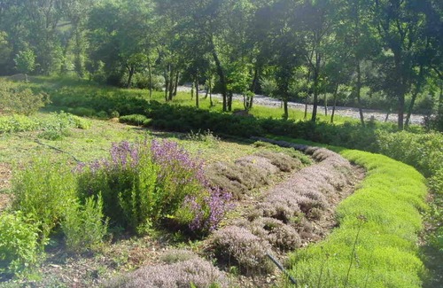 Saint-Andeol Chalet De Esquí | Cottage La Hulotte , Cosy and ecological place in Vercors natural regional parc