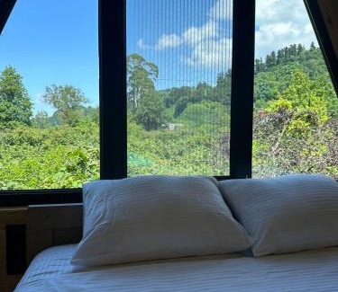 Gonio Chalet De Esquí | Cottage Lemons In Gonio