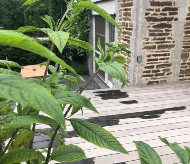 Spa Casa | Cottage Marie-Henriette