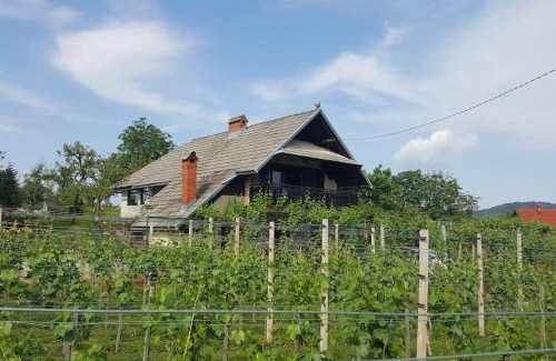 Marindol Apartamento | Cottage near river Kolpa, vineyards,top location.