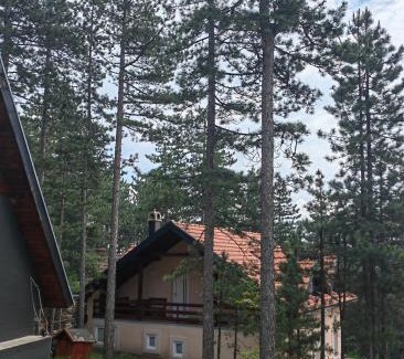 Bajina Basta Apartamento | Cottage Nena Tara