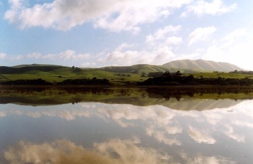 Point Reyes Station Cabaña | Cottage on Inverness Bay!