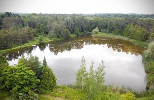 Flesherton Casa | Cottage Retreat on 11 Acres