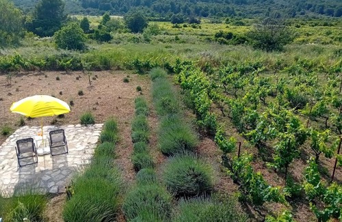 Vela Luka Casa | Cottage the Quiet