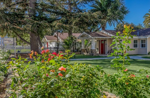 Solvang Cabaña | Cottage Violet # 3 (aprobado por la ADA para discapacitados)