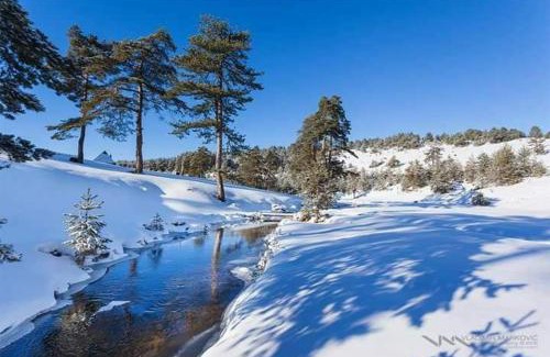 Zlatibor Chalet De Esquí | Cottage Vodice 2, Zlatibor