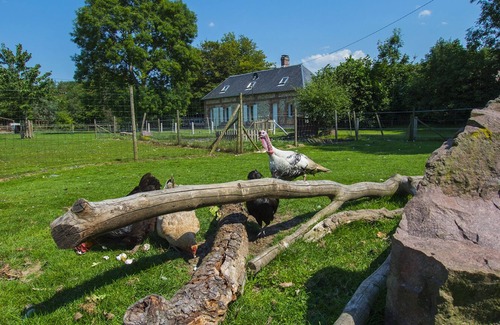 Saint-Pierre-du-Val Casa | Casa rural con parque de animales en la propiedad cercana Honfleur Deauville Le Havre