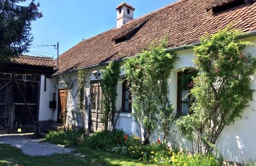 Miclosoara Casa | Count Kálnoky's Transylvanian Guesthouses