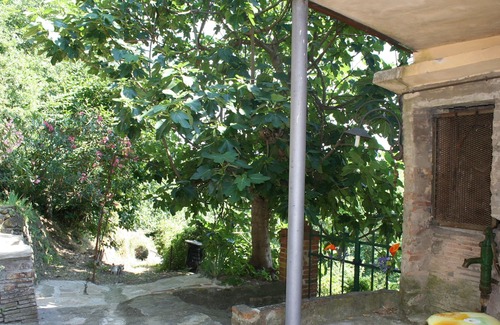Ponte Buriano Casa | Casa / apartamento rural - Capolona