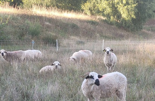 Saint-Julien-Puy-Laveze Otro | Country property in the heart of the farm, 8 people Label Accueil Paysan