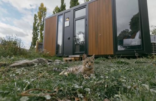 Kokonga Casa | Country Garden Retreat by Tiny Away