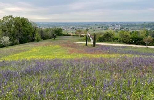 Susegana Cabina | Country House Accommodation on Dreamway Path - Colfosco di Susegana TV, Veneto, Italy